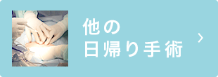 他の日帰り手術