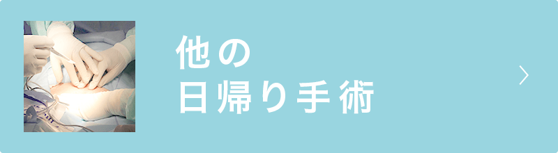 他の日帰り手術